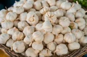 What is Garlic Extract? (Allium Sativum) Hair Benefits
